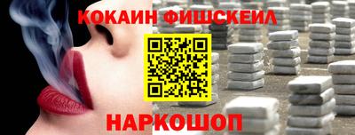 мдпв Камышлов