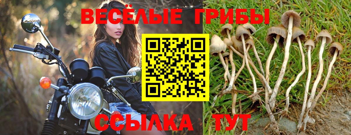 Костомукша  Галлюциногенные грибы Magic Shrooms  Галлюциногенные грибы Psilocybine cubensis  Вход с VPN 