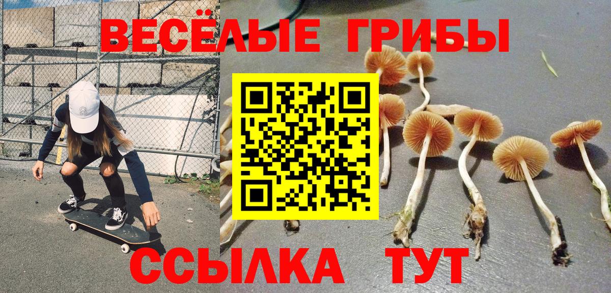 Галлюциногенные грибы мицелий Костомукша